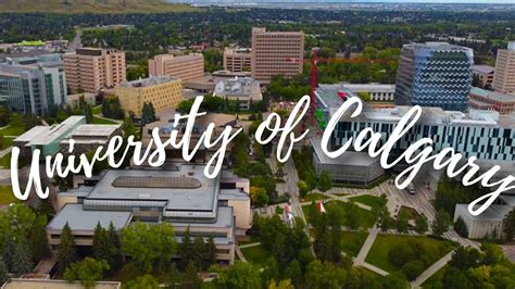 d2l ufc|u of calgary.